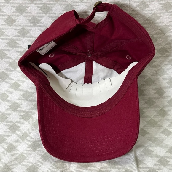 The Office Dwight Schrute Farms Beets Dad Hat Officially Licensed Adjustable - Picture 6 of 8